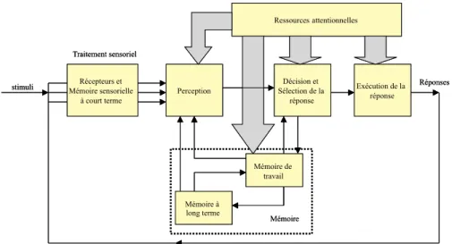 Fig. 2.5 – Mod` ele du traitement humain de l’information d’apr` es (Wickens, 1992)