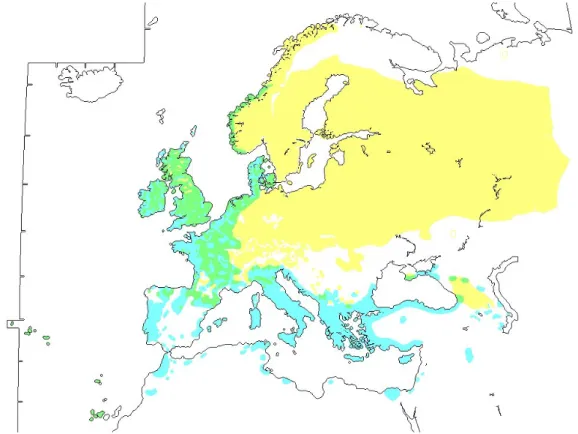 Fig I.1 : aire de répartition de la Bécasse des bois en Europe (d’après Snow &amp; Perrins 1998)  (en jaune : zone de reproduction stricte ; en bleu : aire d’hivernage stricte ; en vert : zone  mixte de reproduction et hivernage) 