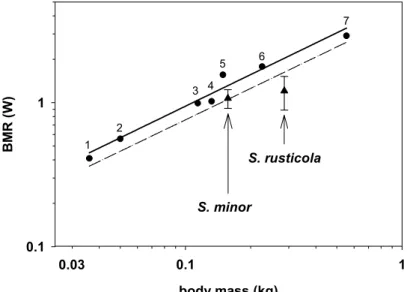 Fig. 4 : Basal Metabolic Rate (BMR) in relation to body mass for 2 species of woodcocks [triangles :  Scolopax minor  (Vander Haegen et al