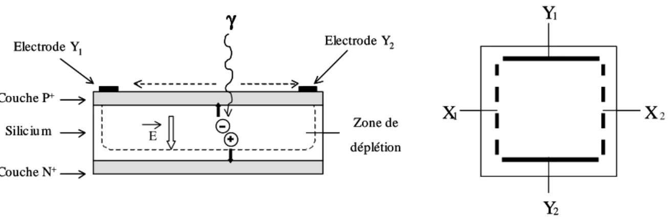Figure II.2 : (A) Principe d’une photodiode à localisation ; (B) Schéma d’une photodiode à  localisation de type duo-latéral.