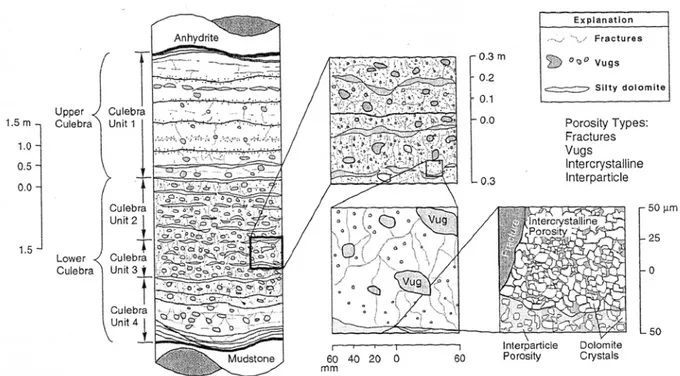 Figure I. 1: Schéma illustrant les variations de lithologies et les différents  types de porosité sur le site de Culebra d'après (Meigs and Beauheim, 2001) 