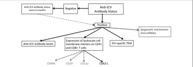 FIGURE 1 | Immunological markers to estimate individual PML risk in NTZ-treated patients.