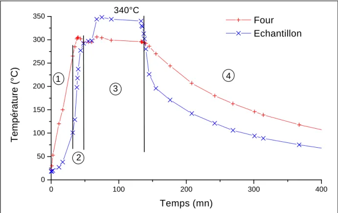 Figure 2 : Montée en température d'un échantillon pour une consigne du four à 295 °C 