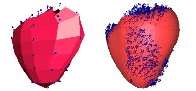 Fig. 3.6 – Maillage h´ exa´ edrique du cœur (gauche) et maillage t´ etra´ edrique obtenu (droite), avec en bleu les directions de fibre originales puis interpol´ ees et extrapol´ ees.