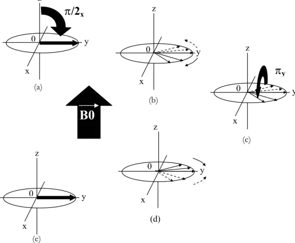 Figure I.7 : Dans le repère tournant autour de l’axe z à la pulsation  ω 0  (a) une impulsion RF  π /2 x   est  appliquée ; (b) Les spins se déphasent dans le champ inhomogène durant t cp /2 ; (c) application d’une impulsion  π y (d) Les spins continuent d