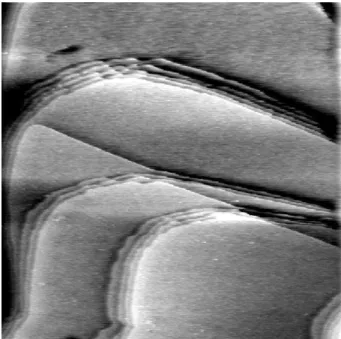 Fig. 2.3 – Image STM (200 x 200 nm 2 ; I t =0.260 nA, V t =0.450 V) d’une surface d’Au(111)/mica obtenue en mode courant constant