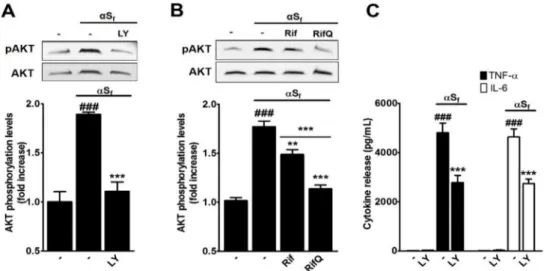 Figure 5. Rif and RifQ inhibit a PI3K-dependent mechanism. (A) Western blot analysis of protein kinase B (AKT) phosphorylation in control and αS f -treated cultures exposed or not to the PI3K-specific inhibitor LY (2.5 µM)