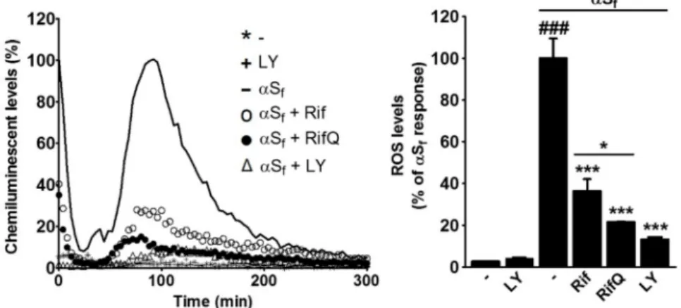 Figure 6. Rif and RifQ prevent reactive oxygen species production in microglial cells activated by αS f.