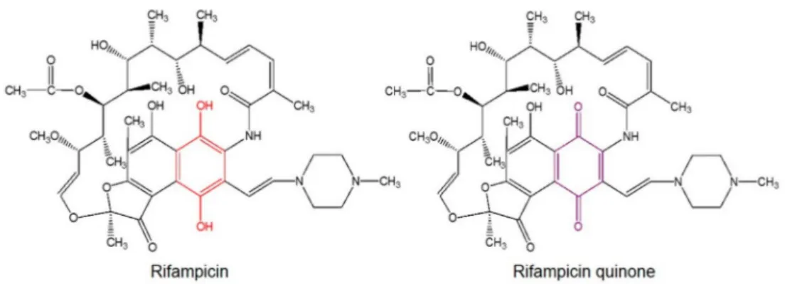 Figure 1. Rif and RifQ chemical structures. The naphthyl core structure of Rif becomes a naphtoquinone in RifQ