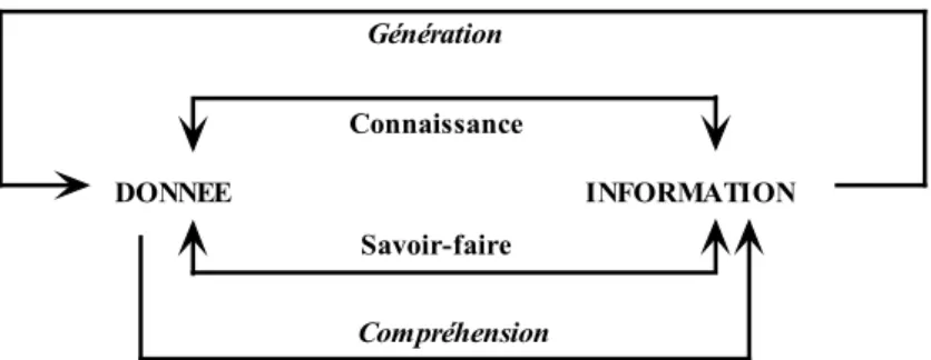 Figure 11 : Des données aux informations (d’après [Prince, 1996]) 