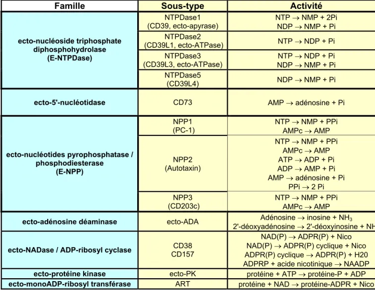 Tableau 6 : Propriétés des principales ecto-enzymes exprimées à la surface des cellules  immunitaires