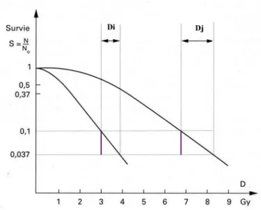 Figure 2 : Définition de l’EBR pour une chute de la survie de S à S/e 