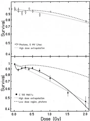 Figure 20 : Courbes de survie cellulaire obtenues après irradiation par de photons et des  ions carbone 