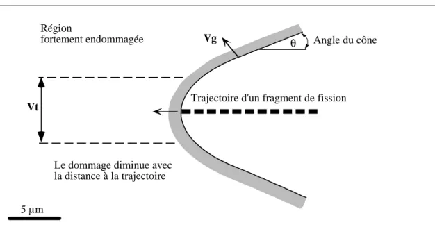 Figure 3-2-Modèle d'attaque d'une trace de fission (Modifié d'après Henke et Benton, 1971,  in Toro, 1999)
