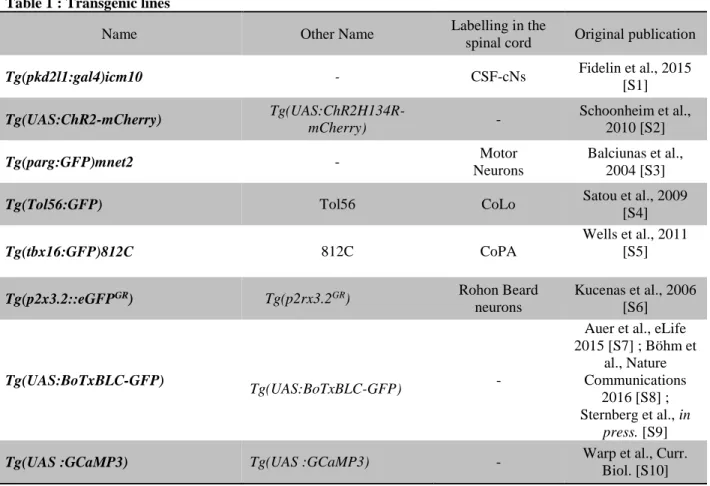 Table S1. Summary of stable transgenic lines used in this study 