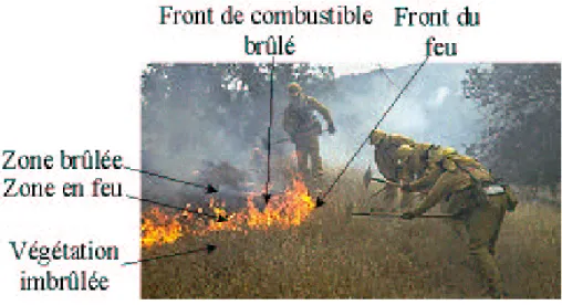 Fig. 2 – Propagation du feu