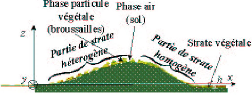 figure 1.10). Consid´erons que l’on a horizontalement soit une phase particule v´ eg´ etale, de broussailles par exemple, soit uniquement une phase d’air que nous nommons sol, car celui-ci est alors visible lorsque l’on regarde la forˆet par au-dessus