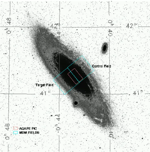 Figura 2.2: I due campi di osservazione, \Target" e \Control", sovrapposti a un'immagine di M31.