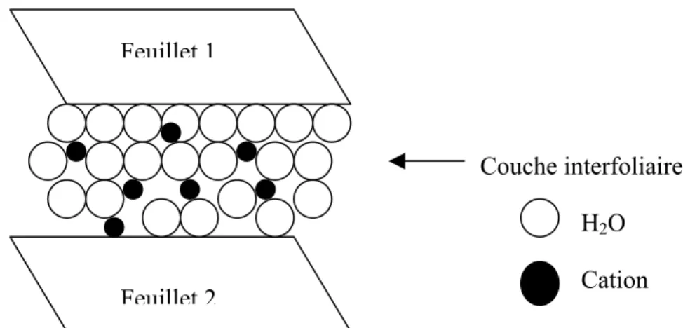 Figure I.2.  Représentation schématique de la couche interfoliaire dans le cas de cations interfoliaires hydratés 