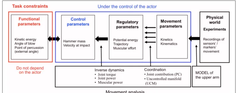 FIGURE 2 | Framework for the study of percussive tool use actions.