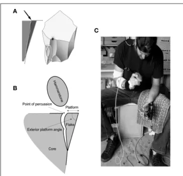 FIGURE 3 | The stone flaking process. (A) Conchoidal fracture results from an angle of percussion of approximately 40–50 ◦ and an exterior angle of approximately 70–80 ◦ (adapted from Pelegrin, 2005, with permission);