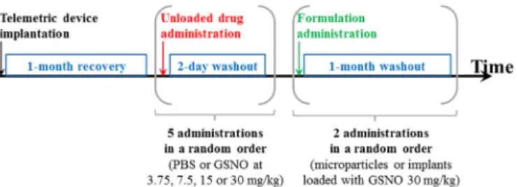 Fig 1. Timeline of the administrations of PBS, free GSNO and formulations loaded with 30 mg/kg GSNO in the first series of Wistar rats
