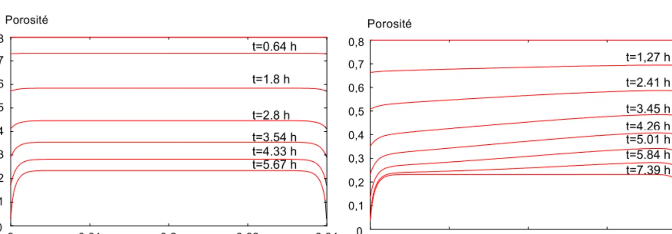 Figure 21 : Evolution temporelle de la porosité le long de l’axe de la préforme a)  Conditions limites de Dirichlet (Débit infini)