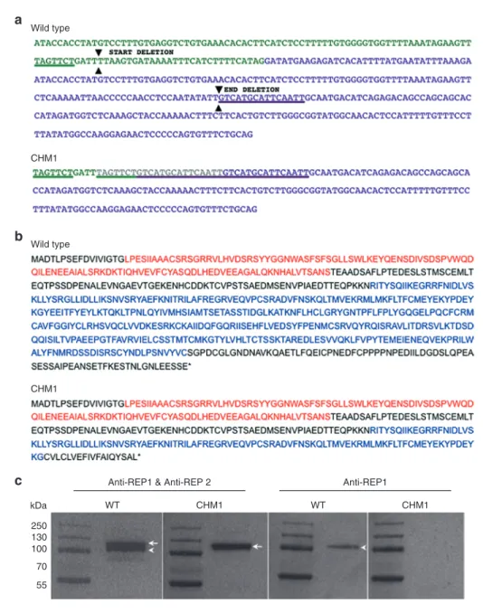 Figure 1  Characterization of the CHM deletion of patient CHM1. (a) The sequence of exon 7 of the CHM gene is indicated in green, and the sequence  of exon 8 is indicated in purple