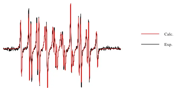 Figure 3-15 : Spectre du radical DPBO-SG (Tampon phosphate pH 5,8)