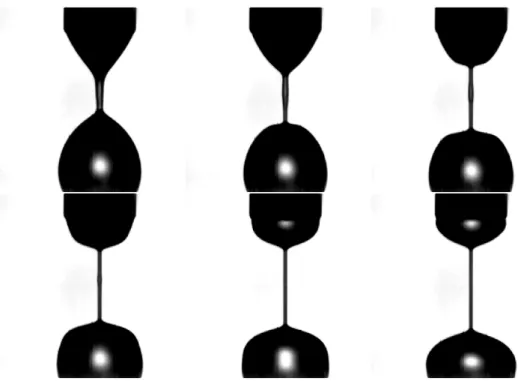 Fig. 3.11: Détachement d’une goutte de 100ppm d’une solution de POE d’un poids moléculaire de 4.10 6 g/mol.