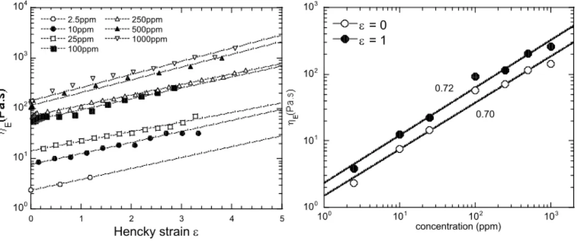 Fig. 3.19: Viscosité elongationnelle η E en fonction du Hencky Strain ε (à droite) et de la concentration pour des valeurs de ε donnés (à gauche) (M w = 8.10 6 g/mol)