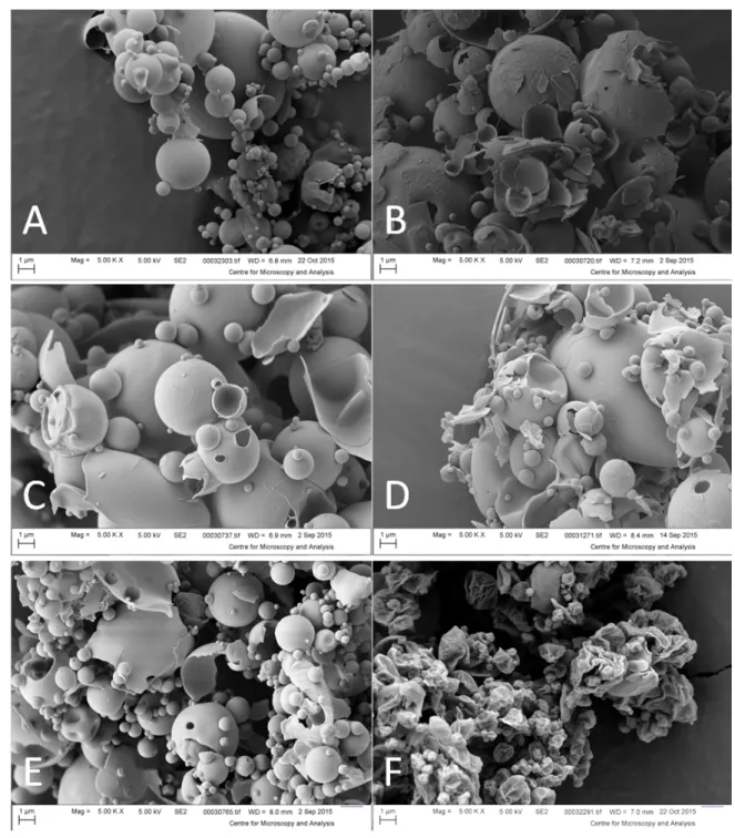 Figure 1: SEM micrographs of the microparticles. (A) CIP-Cu, (B) CIP-Cu mix 1, (C) CIP-Cu mix 2, (D) CIP-Cu mix 3, (E) CIP-Cu-maltose, (F) CIP- CIP-Cu-maltose-leucine