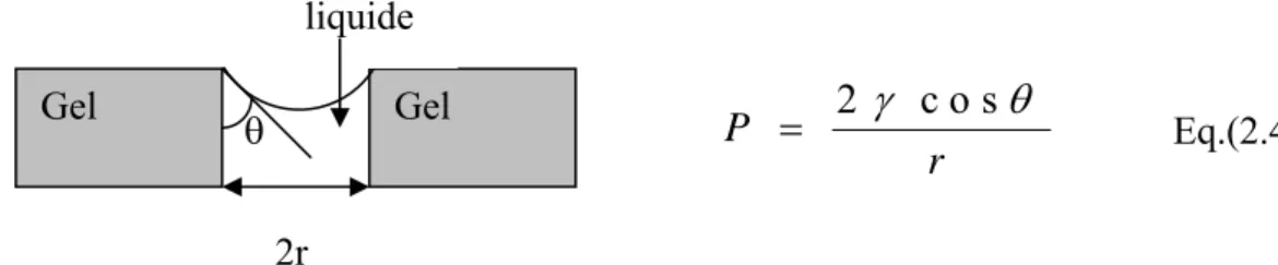 Fig. 2.9 : Schéma de principe de l’apparition des contraintes lors du séchage  