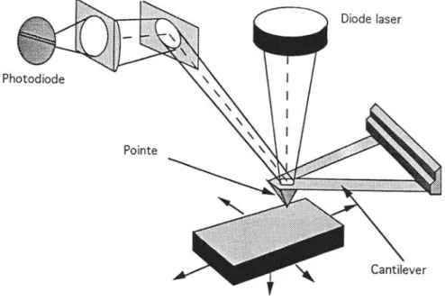 Fig. 2.16 : schéma de principe du microscope à force atomique. Les déflexions du cantilever        supportant la pointe, sont mesurées optiquement 