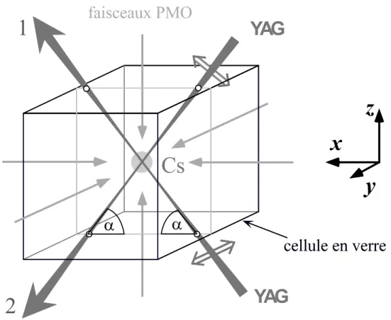 Fig. 1.1 – Configuration des faisceaux YAG et des lasers du pi`ege magn´eto-optique : les faisceaux se croisent au centre d’une cellule en verre sous ultra-vide (10 −9 mbar).