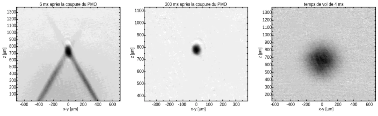 Fig. 1.5 – (a) : image du pi`ege dipolaire crois´e prise 5 ms apr`es la coupure du pi`ege magn´eto-optique : les atomes qui ne se trouvaient pas initialement ` a l’intersection des deux faisceaux YAG tombent dans le champ de pesanteur