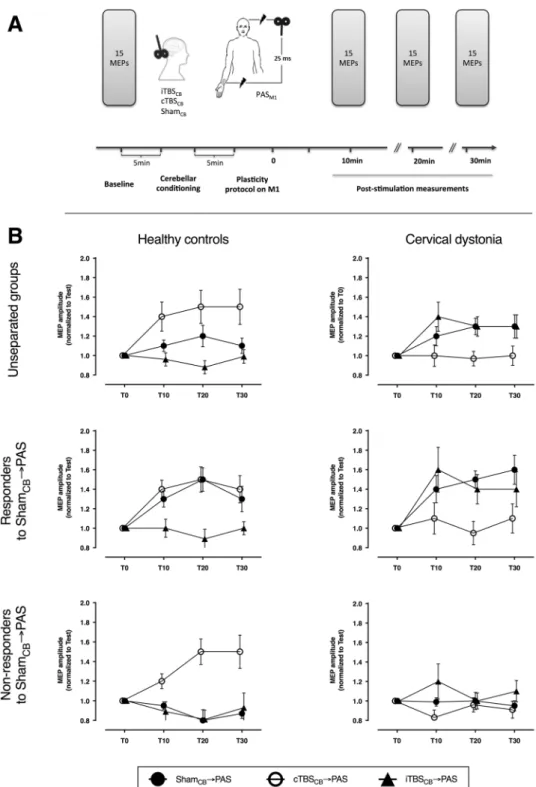 Figure 1.  Experimental design and the comparison between healthy controls and patients with cervical dystonia