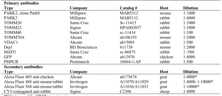 Table 3. Antibodies used for immunocytochemical staining and FRET experiments