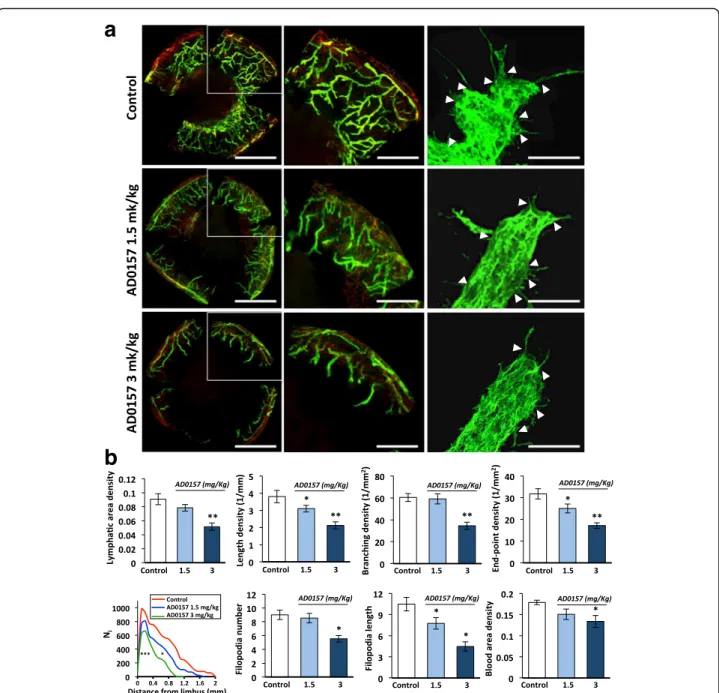 Fig. 4 AD0157 impairs corneal neovascularization in mice. a Representative flat-mounted cauterized corneas harvested from control and AD0157-treated mice at day 9 post-injury