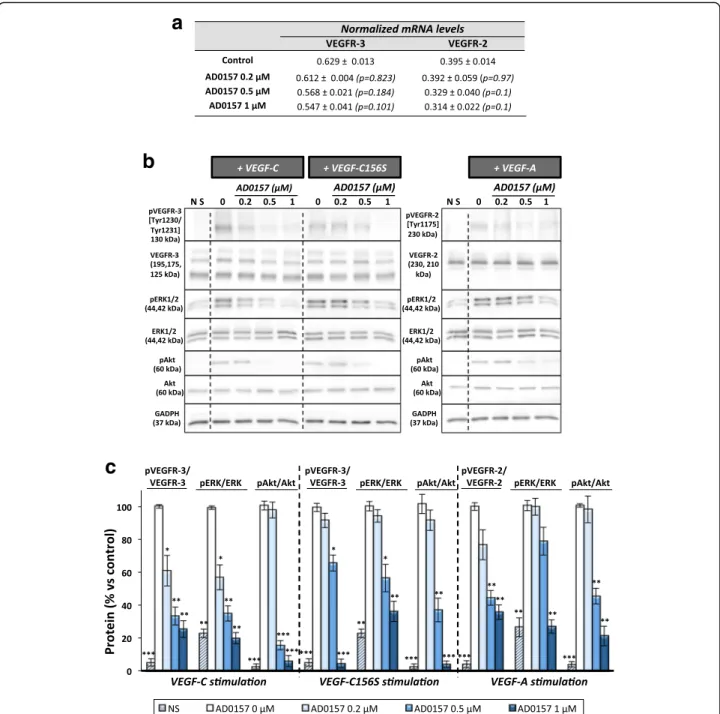 Fig. 8 AD0157 blocks VEGFR-3 and VEGFR-2 signaling cascades in LECs. a Values of VEGFR-3 and VEGFR-2 mRNA expression levels in LECs incubated with different AD0157 concentrations