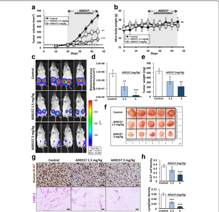 Fig. 1 AD0157 reduces tumor growth and lymphangiogenesis in orthotopic mammary xenografts