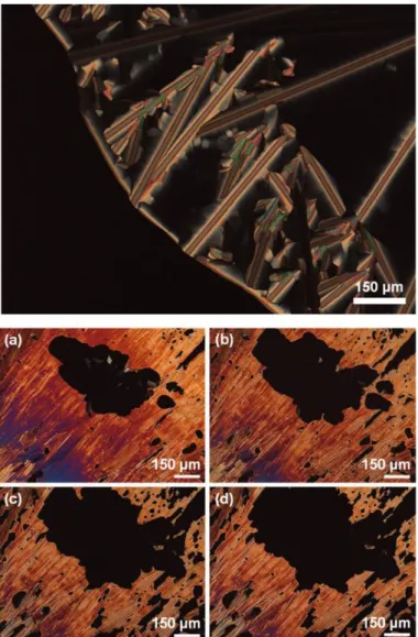 Figure  1.  POM  images  of  the  M hex  phase  of 5-Cp(CN) 5 -1 at  239  °C.  (Bottom)  (a)  Picture  taken  immediately after pressing the sample with a needle