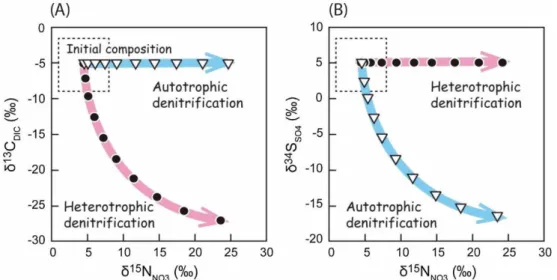 Fig. 5: Conceptual evolution of carbon, nitrate and sulfate stable isotopes for  heterotrophic and autotrophic denitrification (Hosono et al., 2014) 