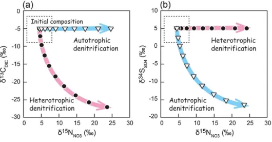 Fig. 8.Theoretical trajectories of carbon, nitrogen, and sulfur stable isotopes for autotrophic and heterotrophic denitriﬁcation, demonstrating how crossing isotopic tracers from reactants (NO 3 − and DIC) and products (SO 4 2− ) allows the partitioning of