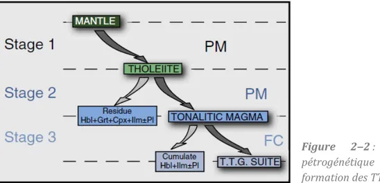 Figure  2‒2 : Organigramme  pétrogénétique résumant la  formation des TTG (Martin 1993)