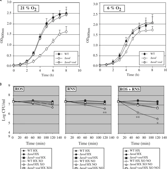 FIGURE 2. Analysis of MnSOD phosphorylation, secretion, and production during L. monocytogenes growth