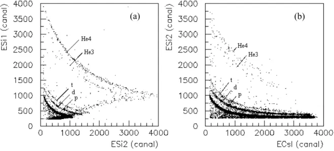 Fig. 2.22 Cartes bi-paramétriques obtenues pendant un run d’étalonnage  avec un télescope MEDLEY à 20 0 