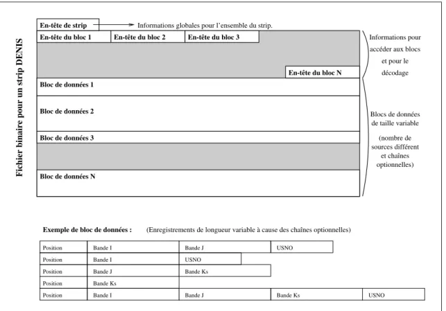Fig. 2.3:Structure d'un chier binaire de données p our un strip DENIS.