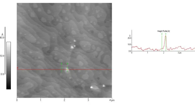 Figure III.5.2.d : Image (425) AFM 4*4 et profil de hauteur de 10 nm de CaF 2  déposé à 650°C sur 36 nm de Si 