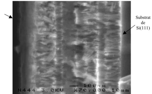 Figure III.5.4.a : image MEB de la tranche d’une microcavité (ech. 444) vide 